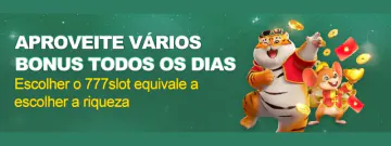 Suporte Premium 24h